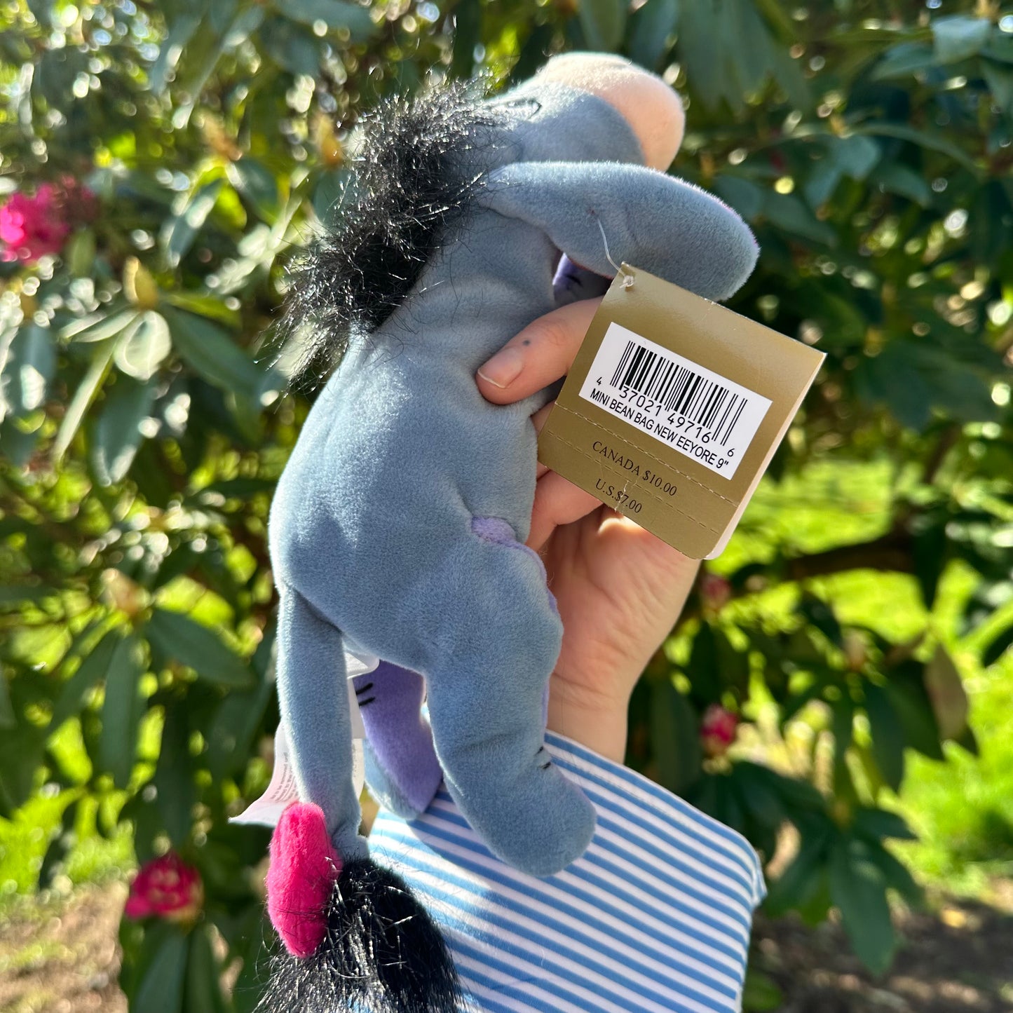 Disney's Eeyore Plushie & Tent