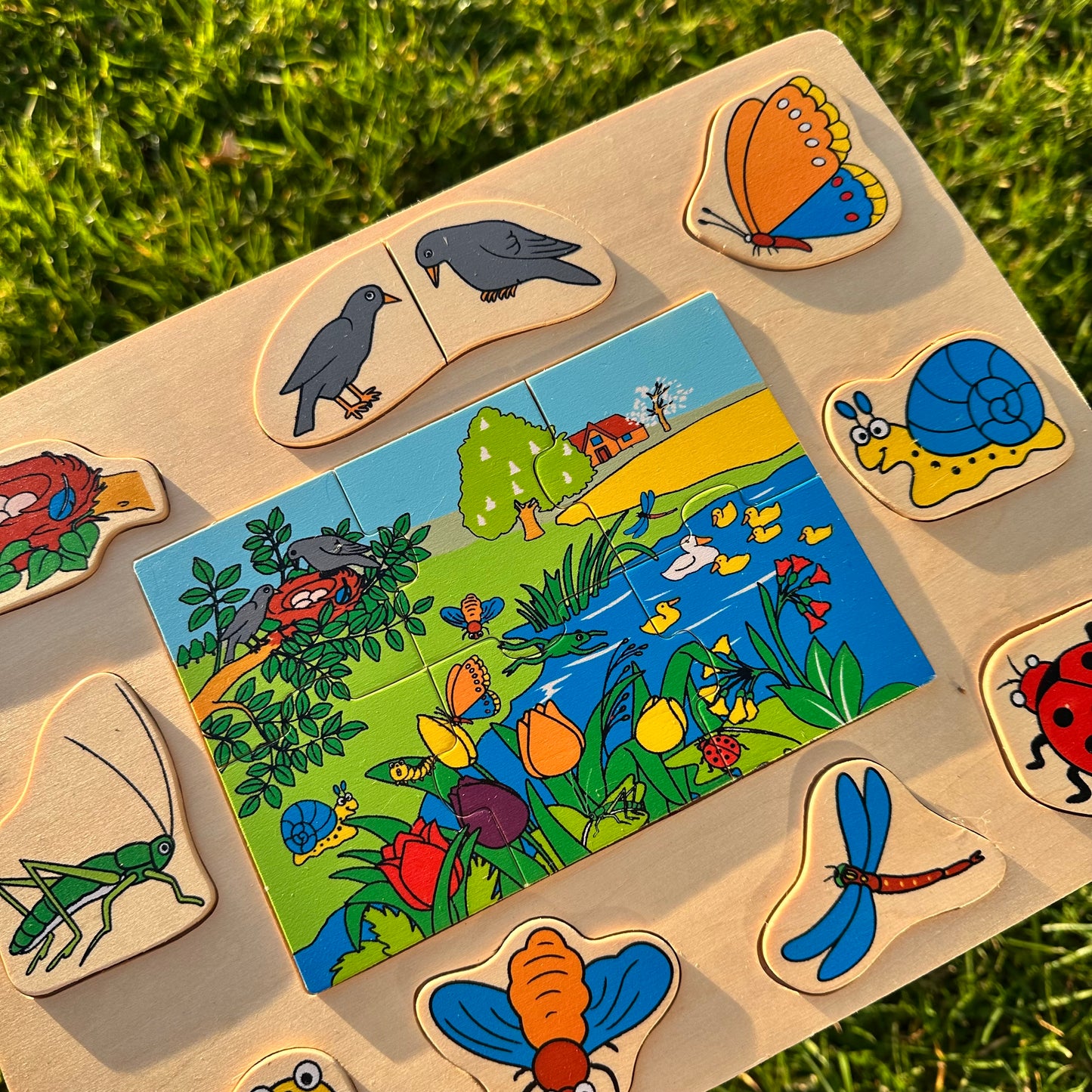 Wooden Pond Puzzle (Centre Puzzle)