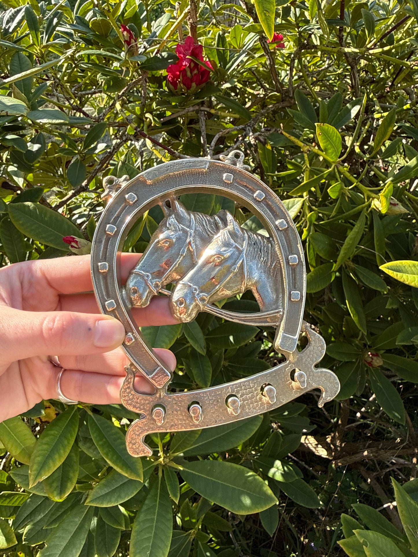 Brass Horse Shoe Hooks