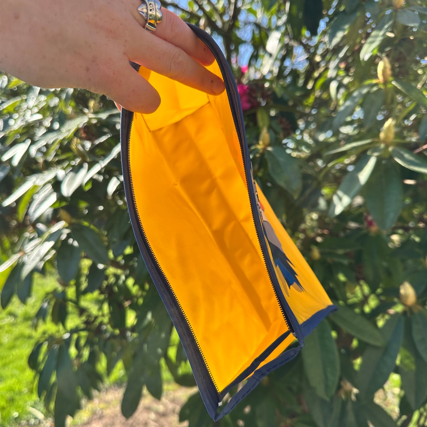 Disney's Lady & The Tramp Pencil Case/ Washbag