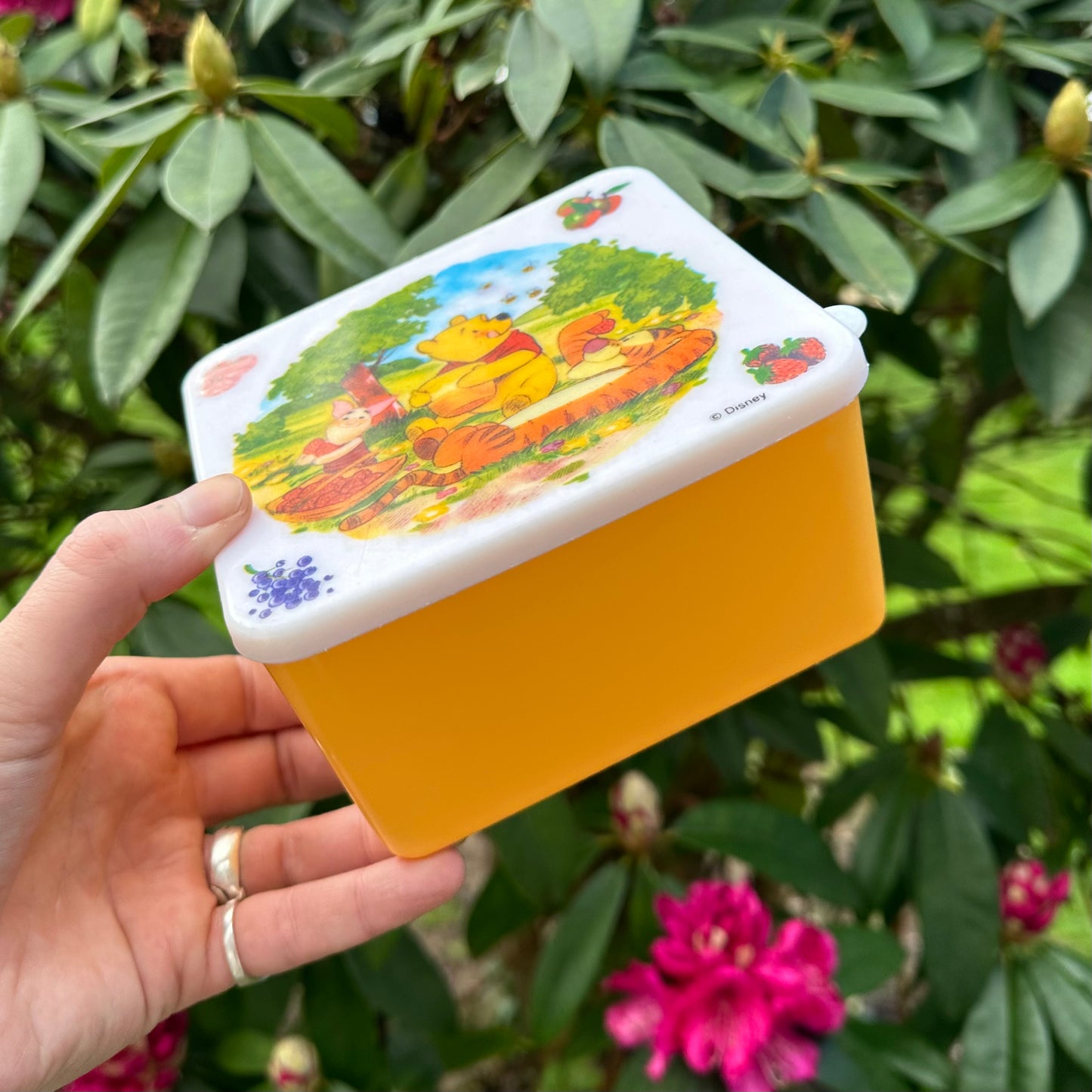 Cole & Mason Winnie The Pooh Lunch/ Trinkets Box