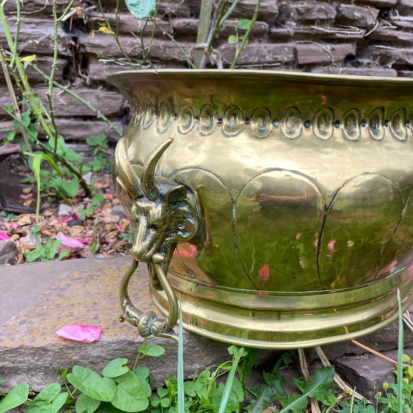 Goat Head Brass Planter Coal Bucket