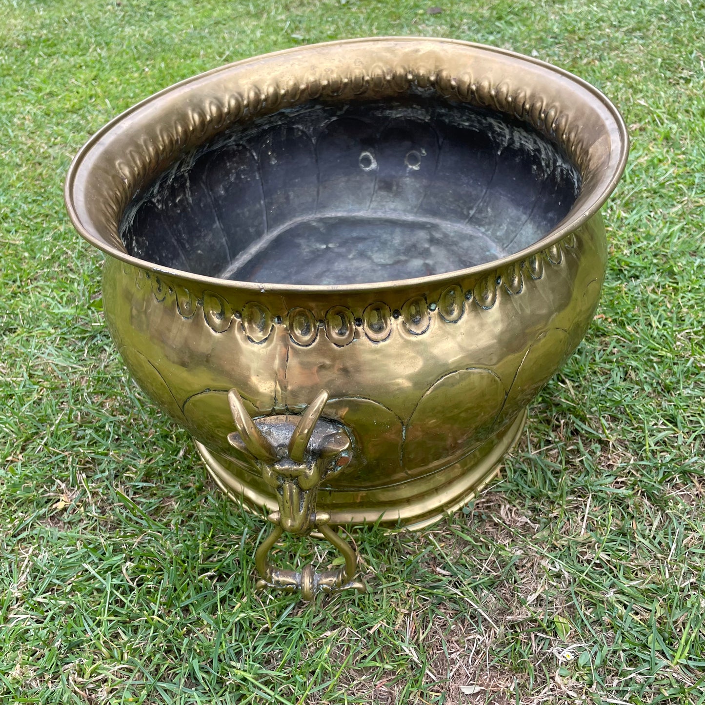 Goat Head Brass Planter Coal Bucket