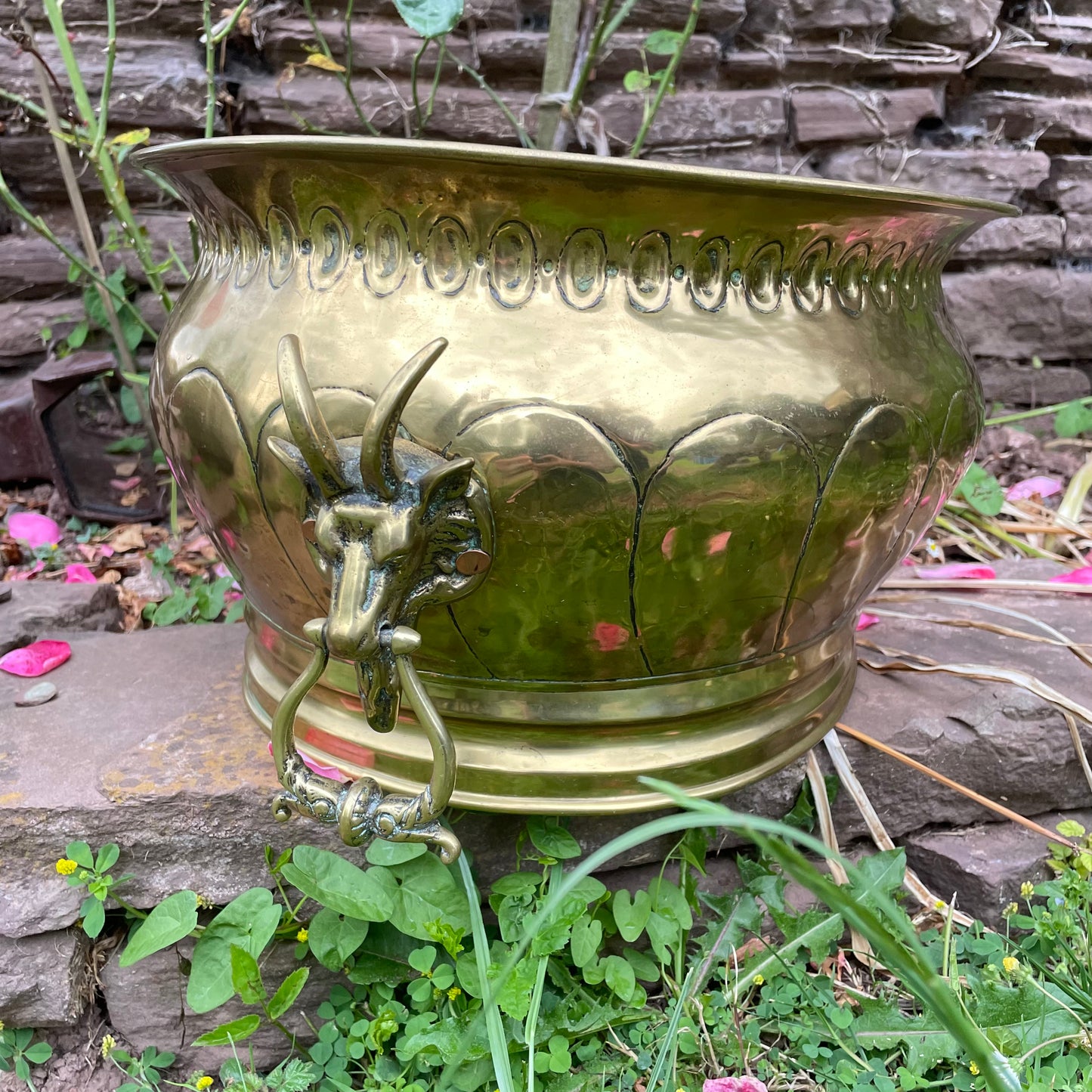 Goat Head Brass Planter Coal Bucket