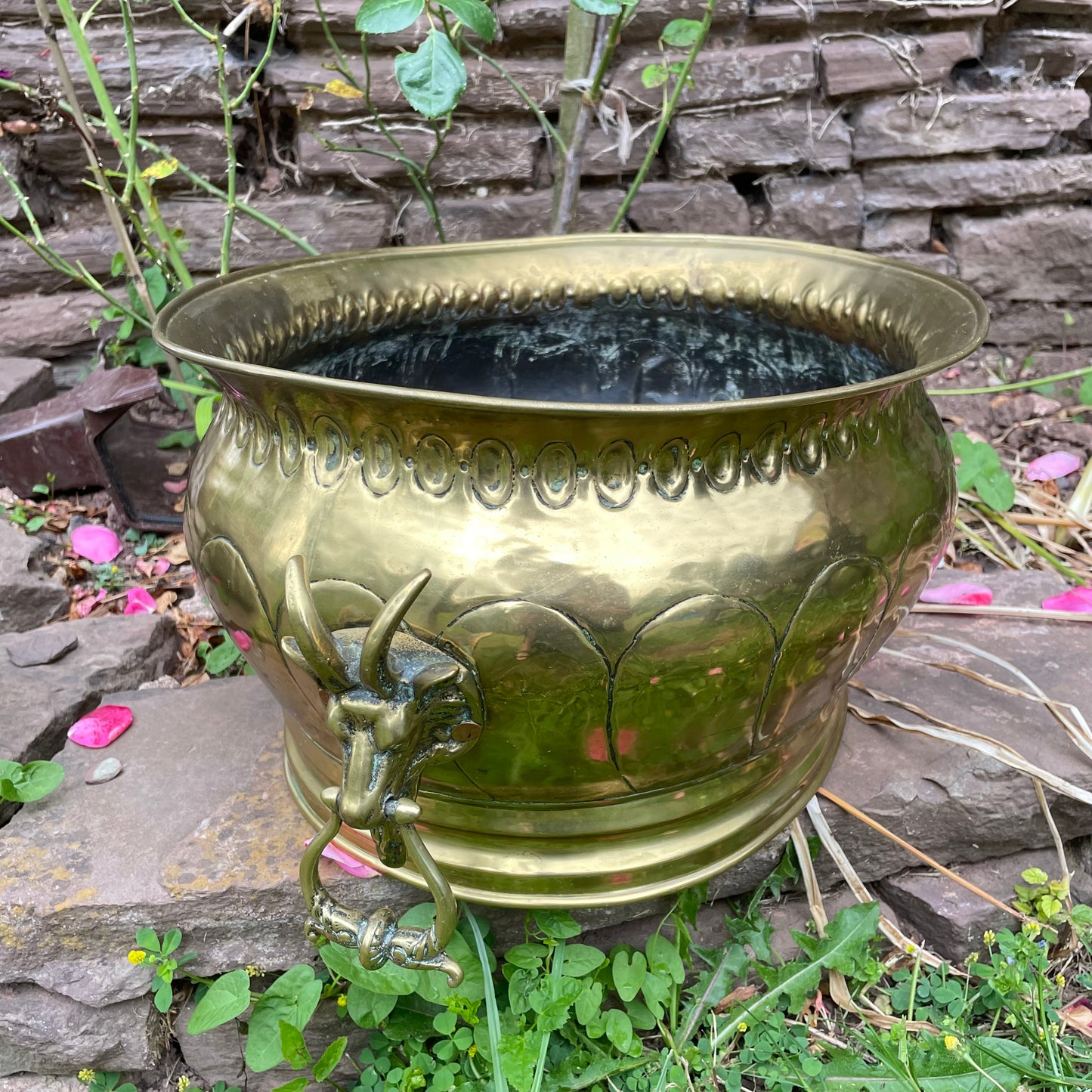 Goat Head Brass Planter Coal Bucket