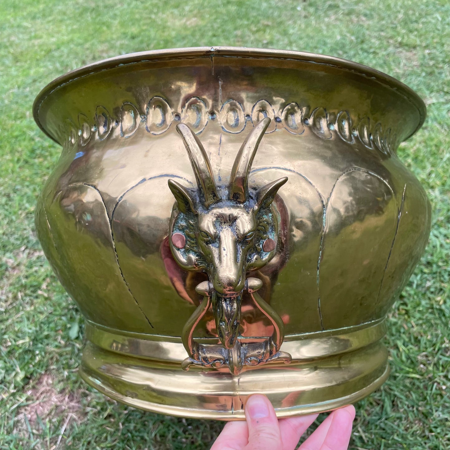 Goat Head Brass Planter Coal Bucket