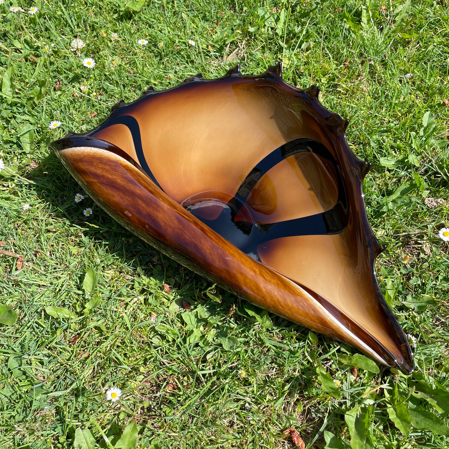 Glass Shell Centerpiece (Large)