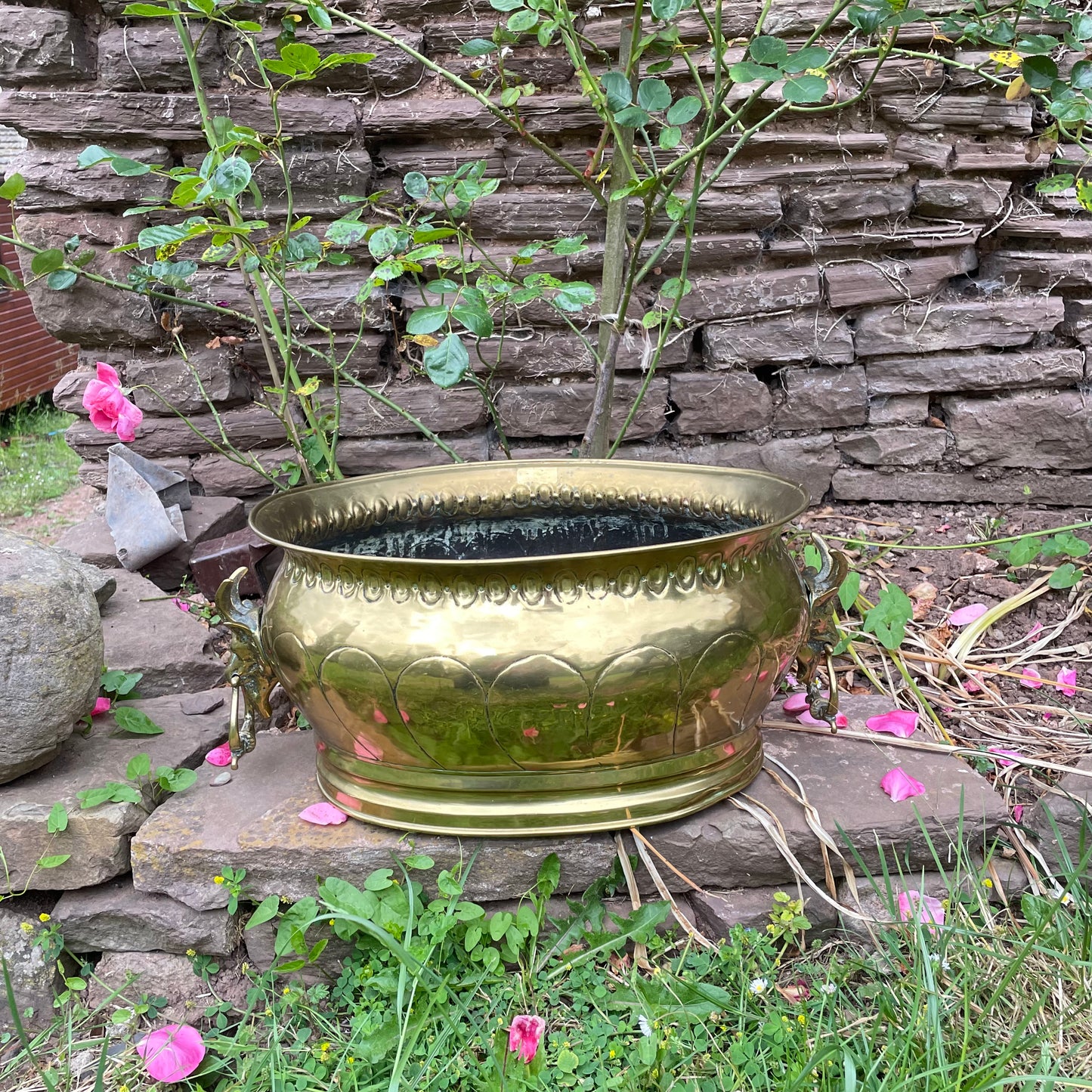 Goat Head Brass Planter Coal Bucket