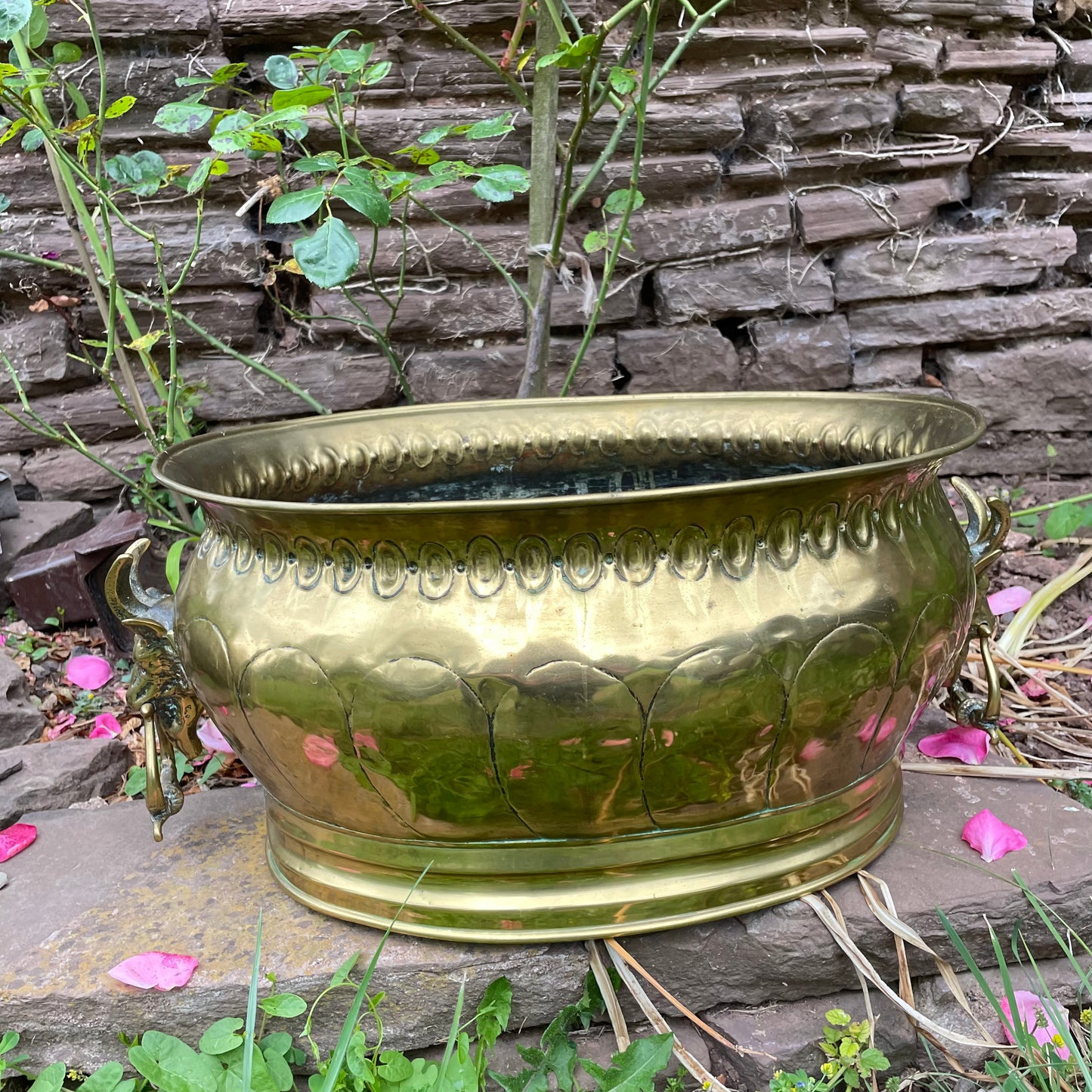 Goat Head Brass Planter Coal Bucket