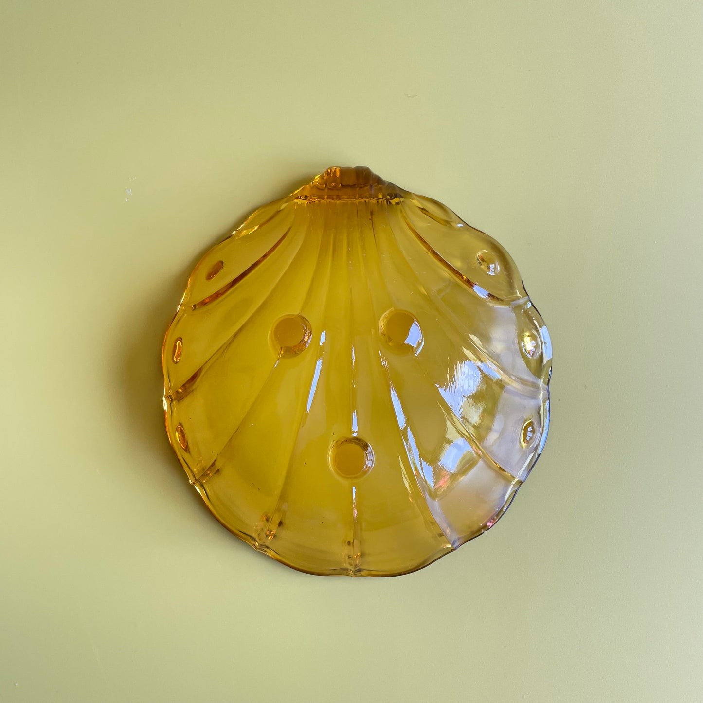 Orange Shell Shaped Dessert Bowls