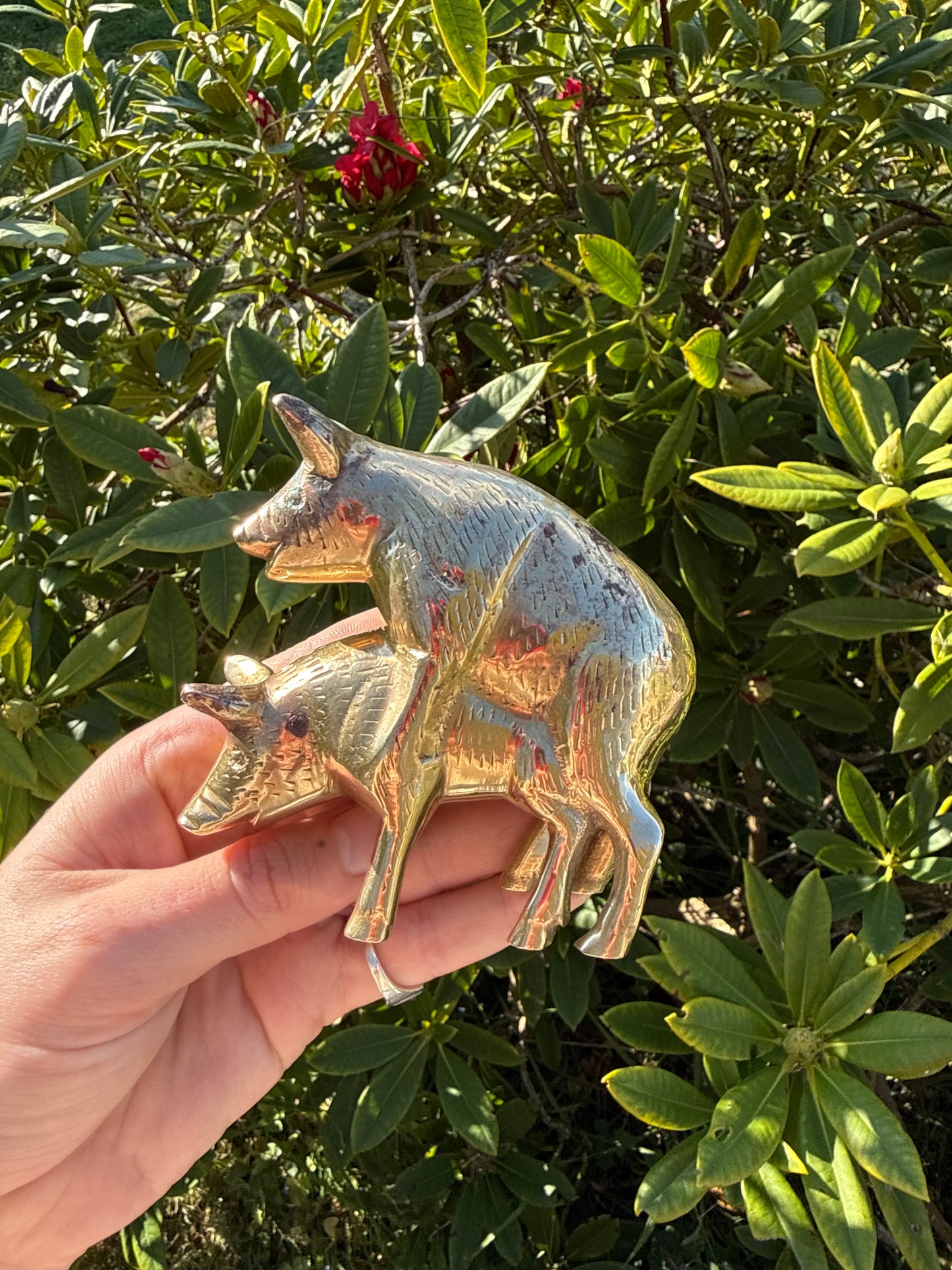 Brass 'Naughty' Pigs