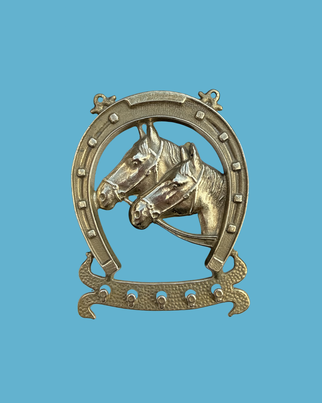 Brass Horse Shoe Hooks