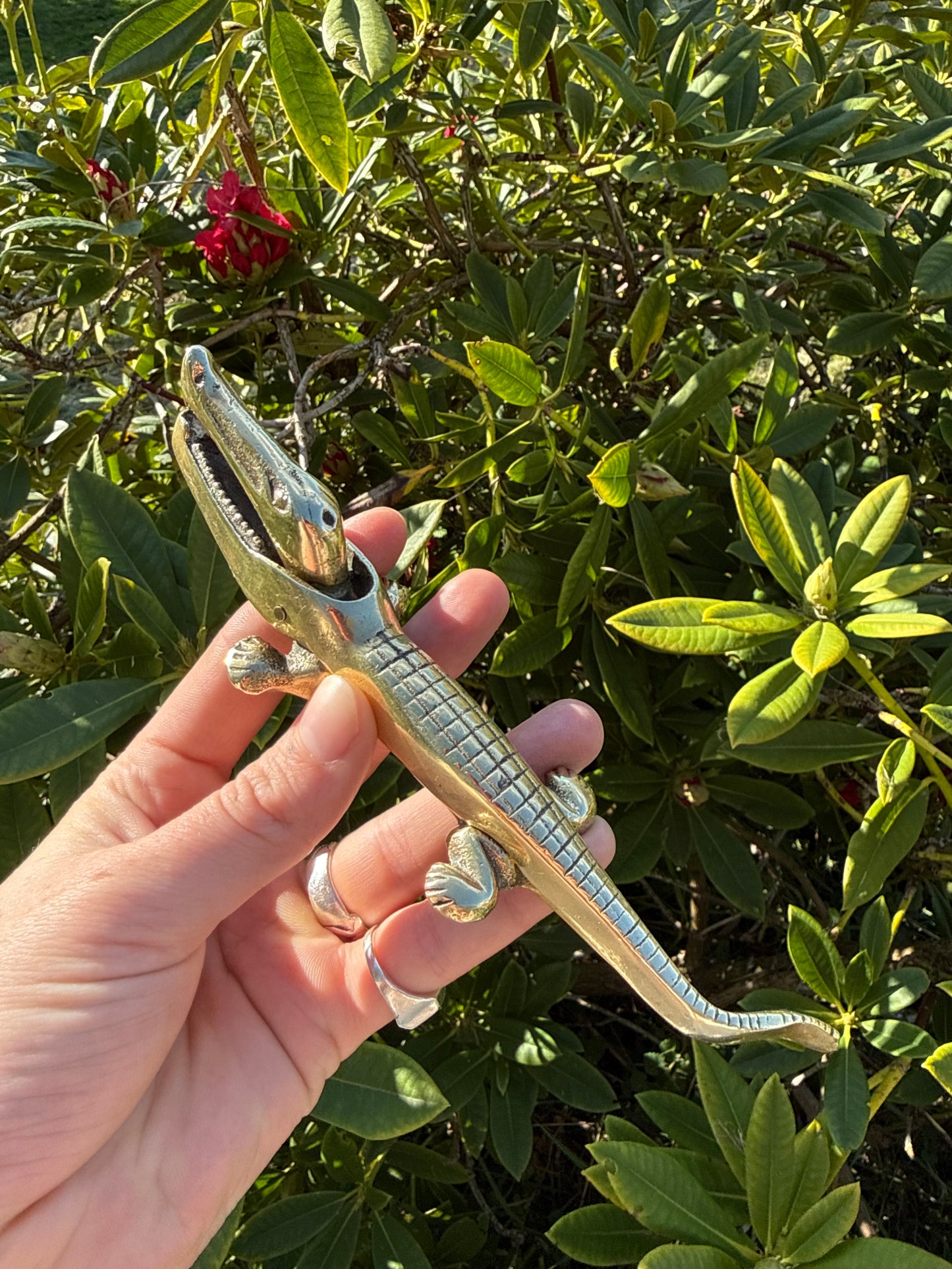 Brass Crocodile Nutcracker