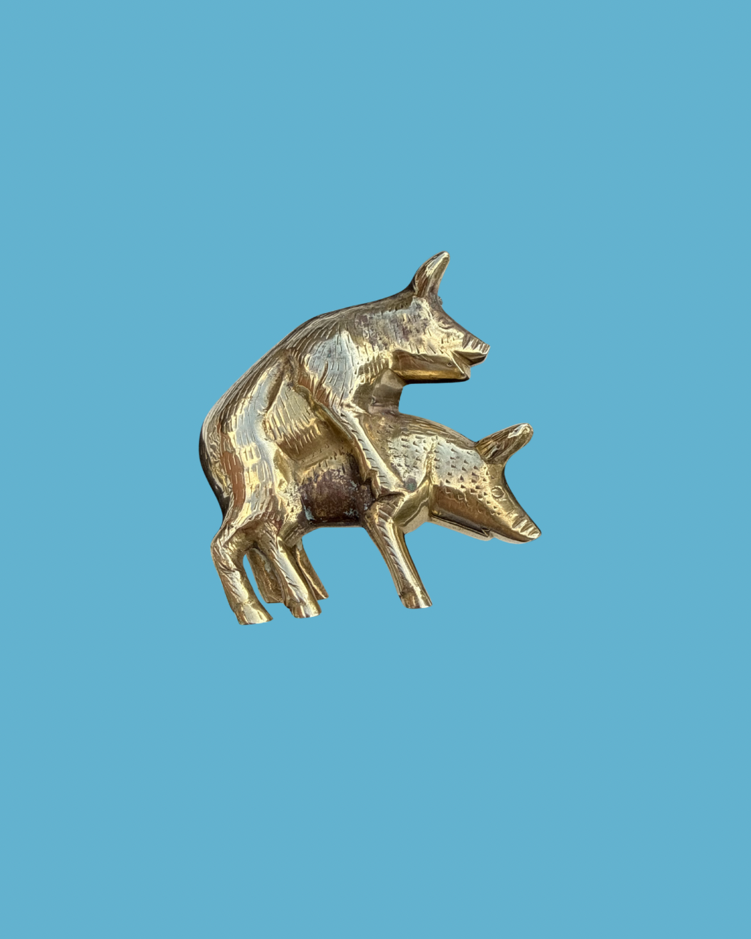 Brass 'Naughty' Pigs
