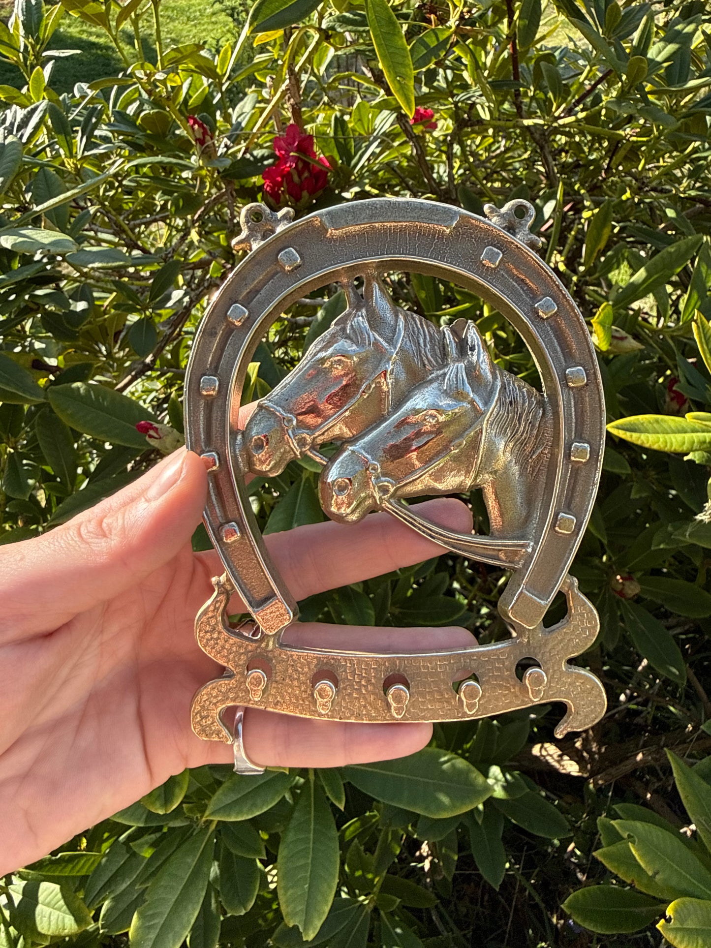 Brass Horse Shoe Hooks