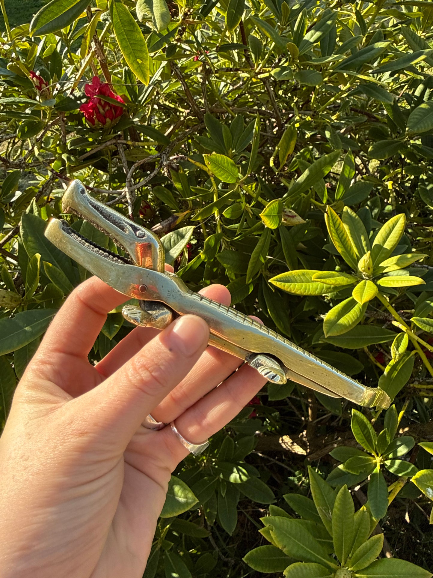 Brass Crocodile Nutcracker