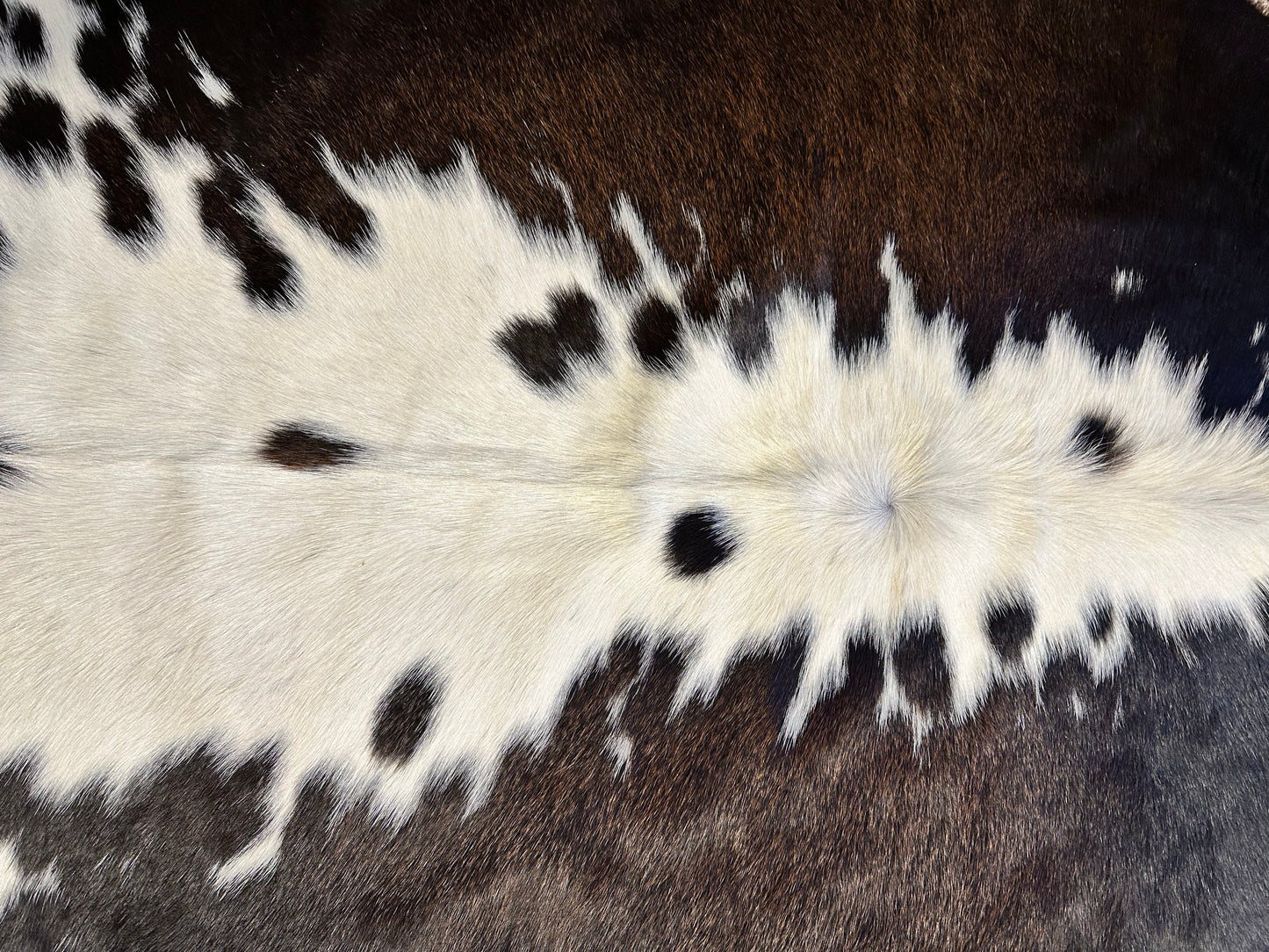 Dark Chocolate & Black & White Cowhide Rug #1