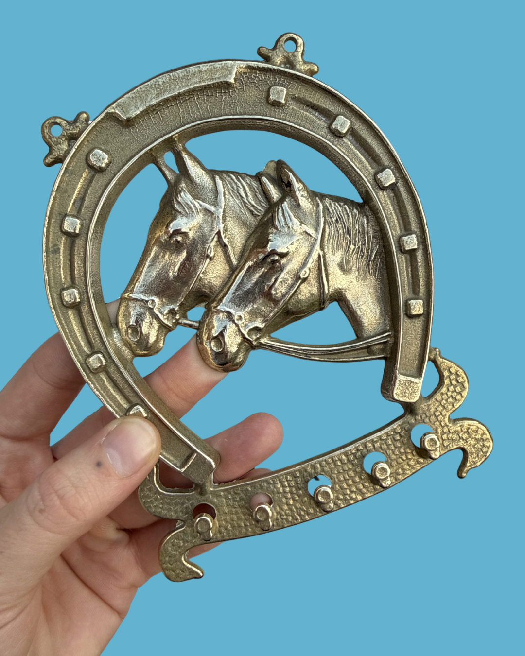 Brass Horse Shoe Hooks