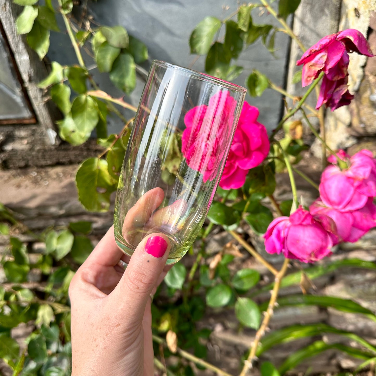 Mixed Coloured Tumblers x4