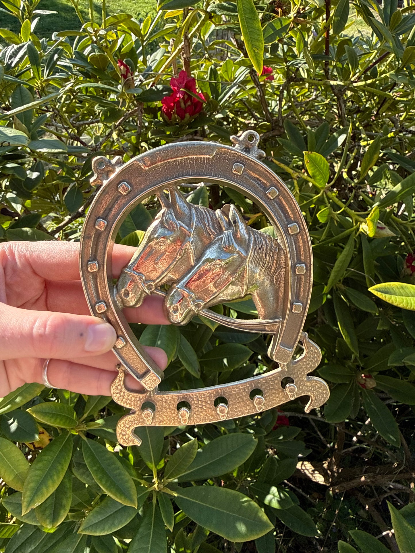 Brass Horse Shoe Hooks