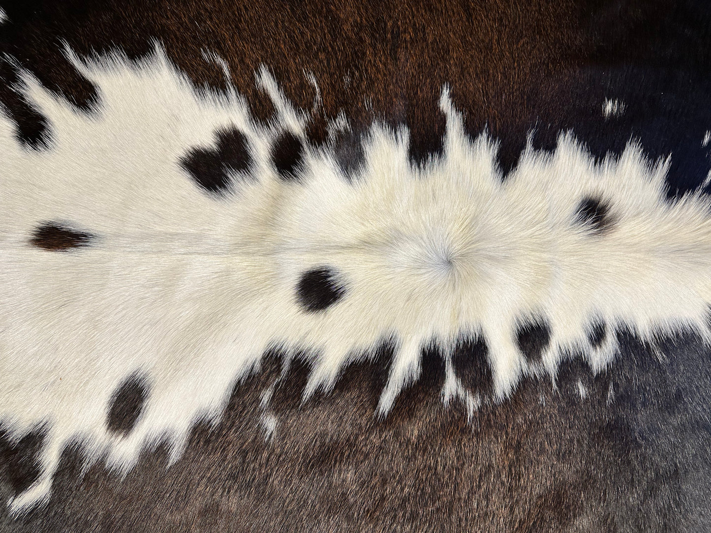 Dark Chocolate & Black & White Cowhide Rug #1