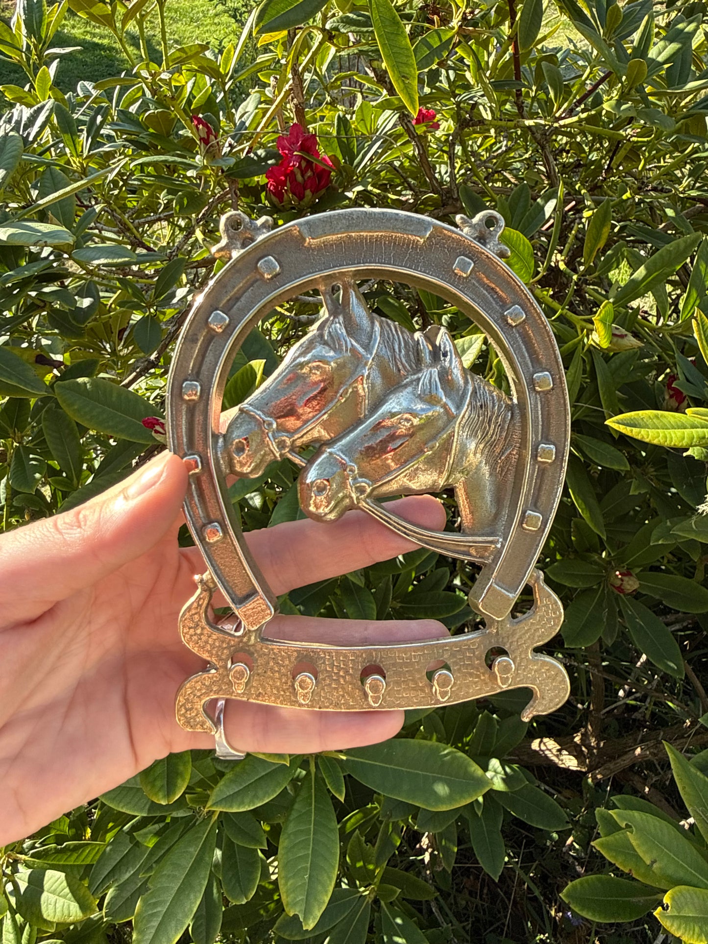 Brass Horse Shoe Hooks