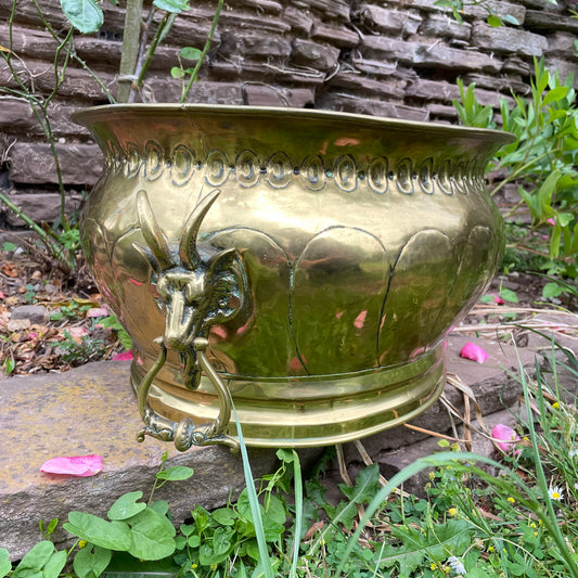 Goat Head Brass Planter Coal Bucket