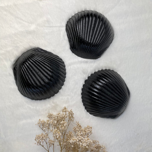 Black Glass Shell Shaped Bowls Medium