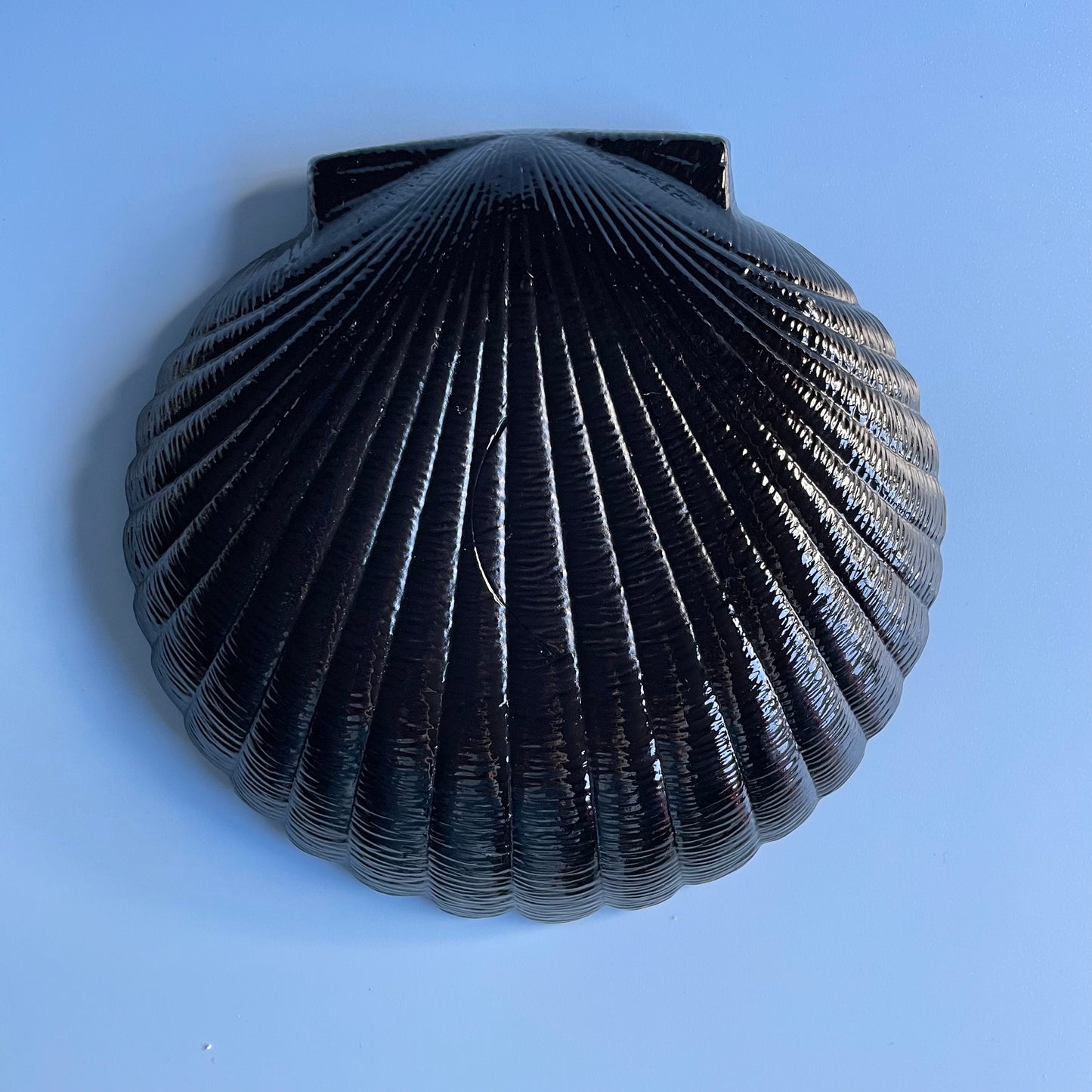 Black Glass Shell Dish Small